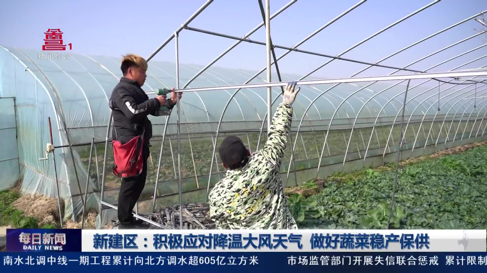  新建区：积极应对降温大风天气  做好蔬菜稳产保供