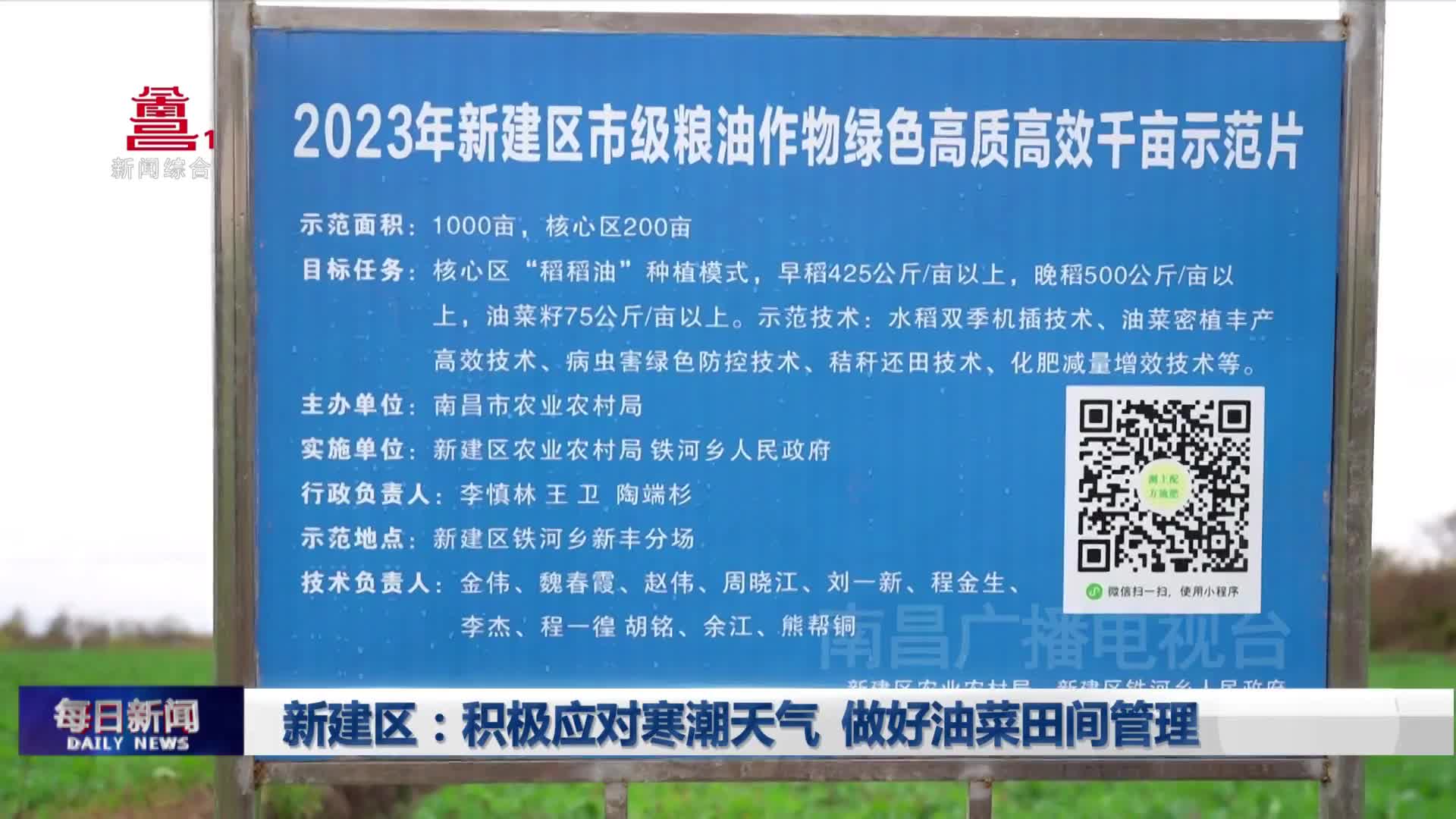 新建区：积极应对寒潮天气  做好油菜田间管理