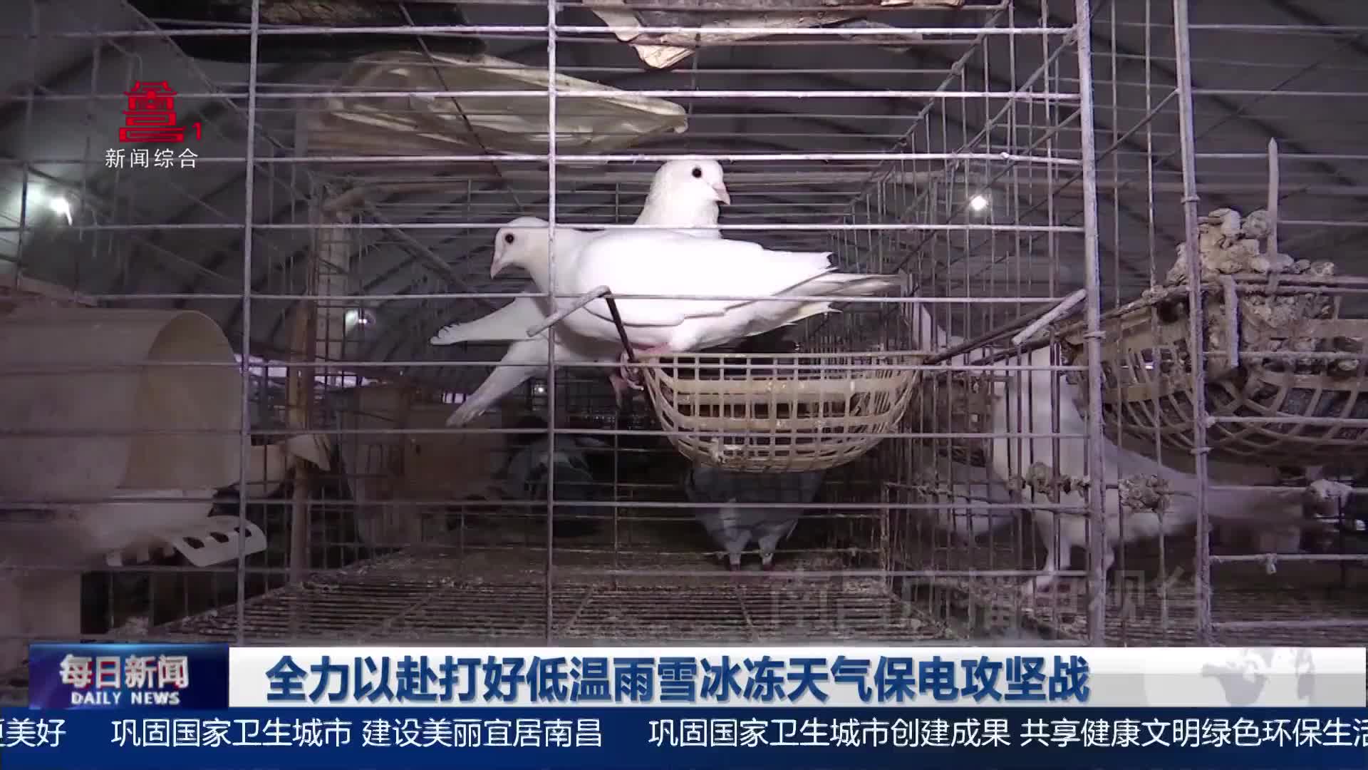全力以赴打好低温雨雪冰冻天气保电攻坚战