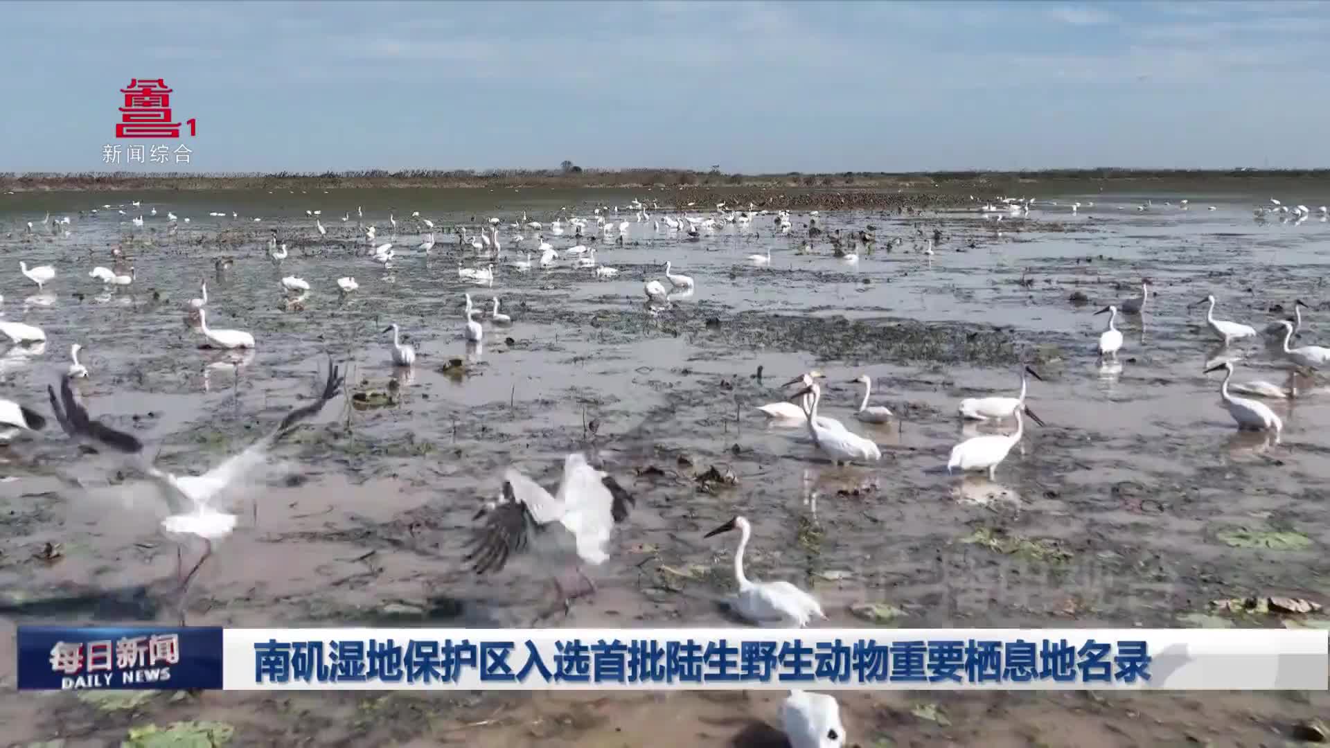 南矶湿地保护区入选首批陆生野生动物重要栖息地名录