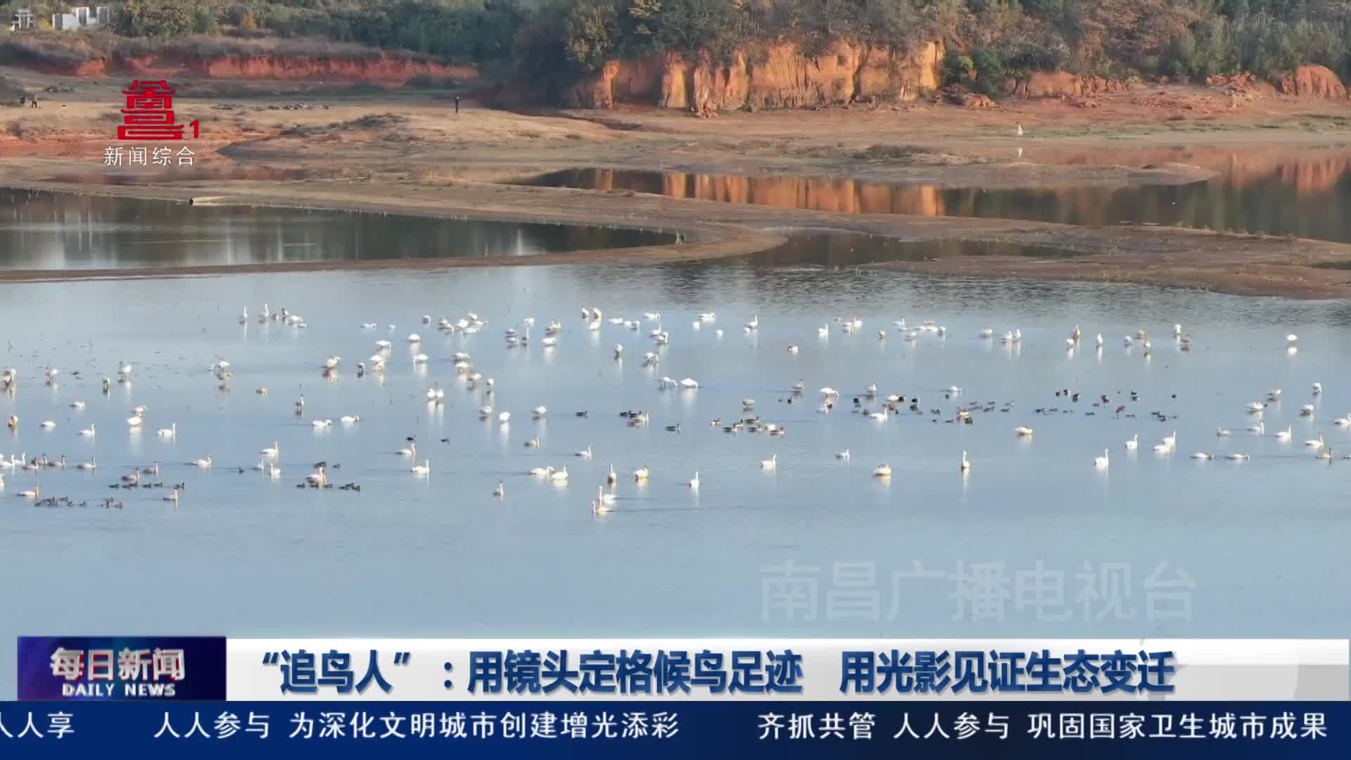 “追鸟人”：用镜头定格候鸟足迹  用光影见证生态变迁