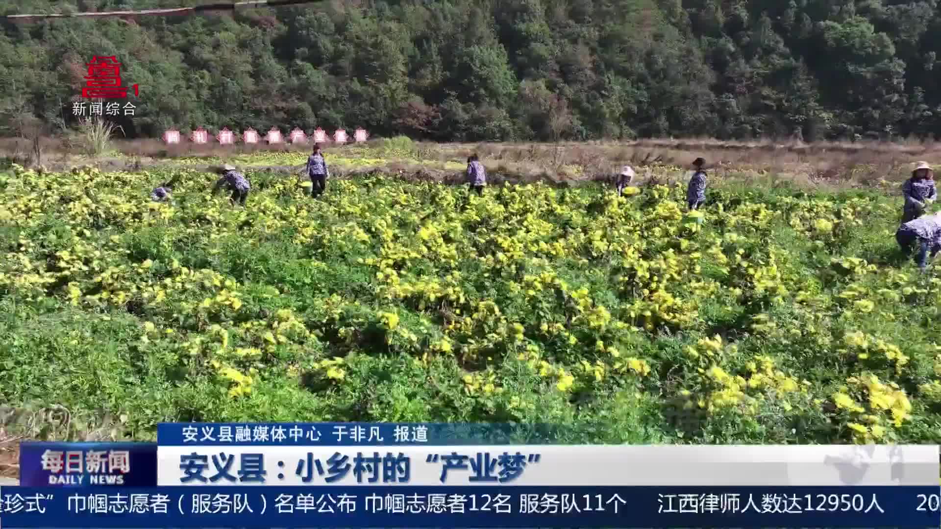 安义县：小乡村的“产业梦”