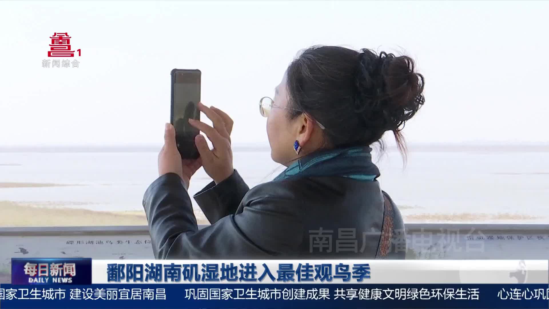 鄱阳湖南矶湿地进入最佳观鸟季