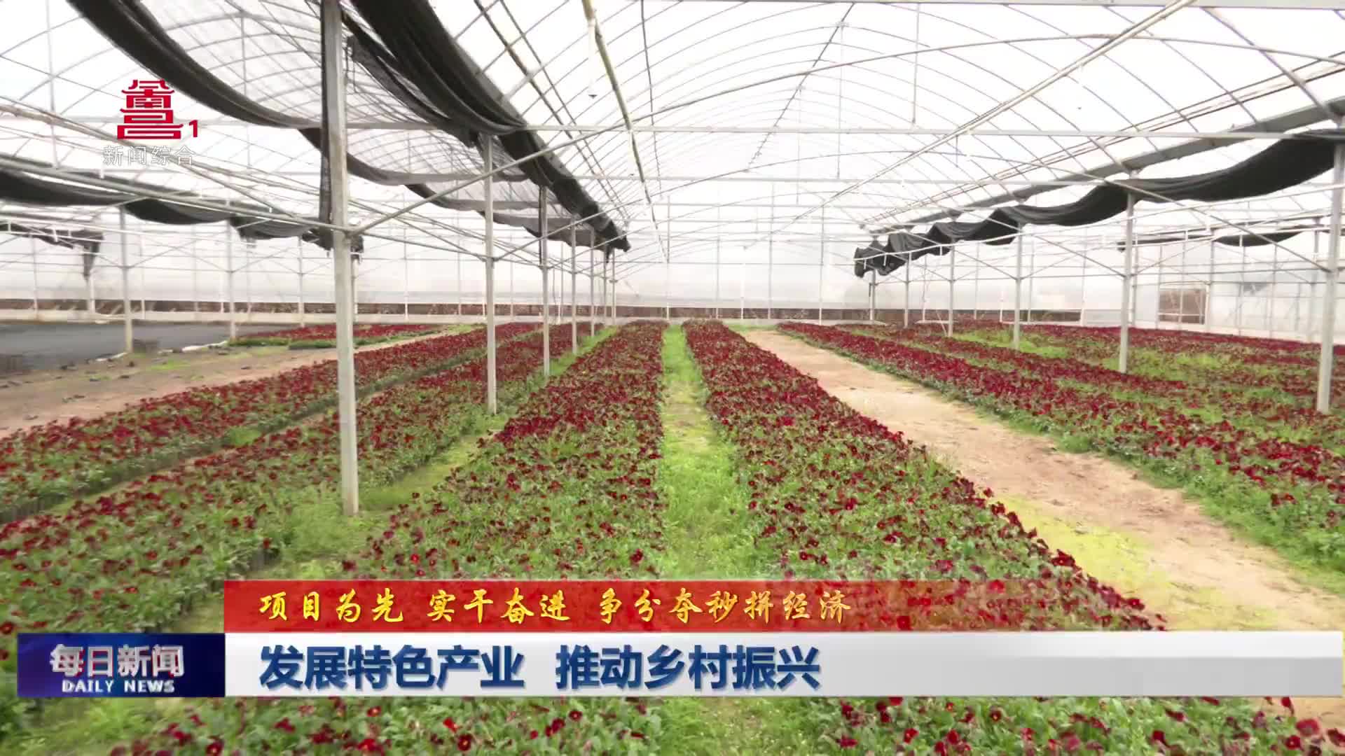 发展特色产业 推动乡村振兴