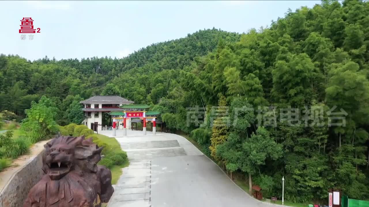 一起去春游：梅岭风光引人醉