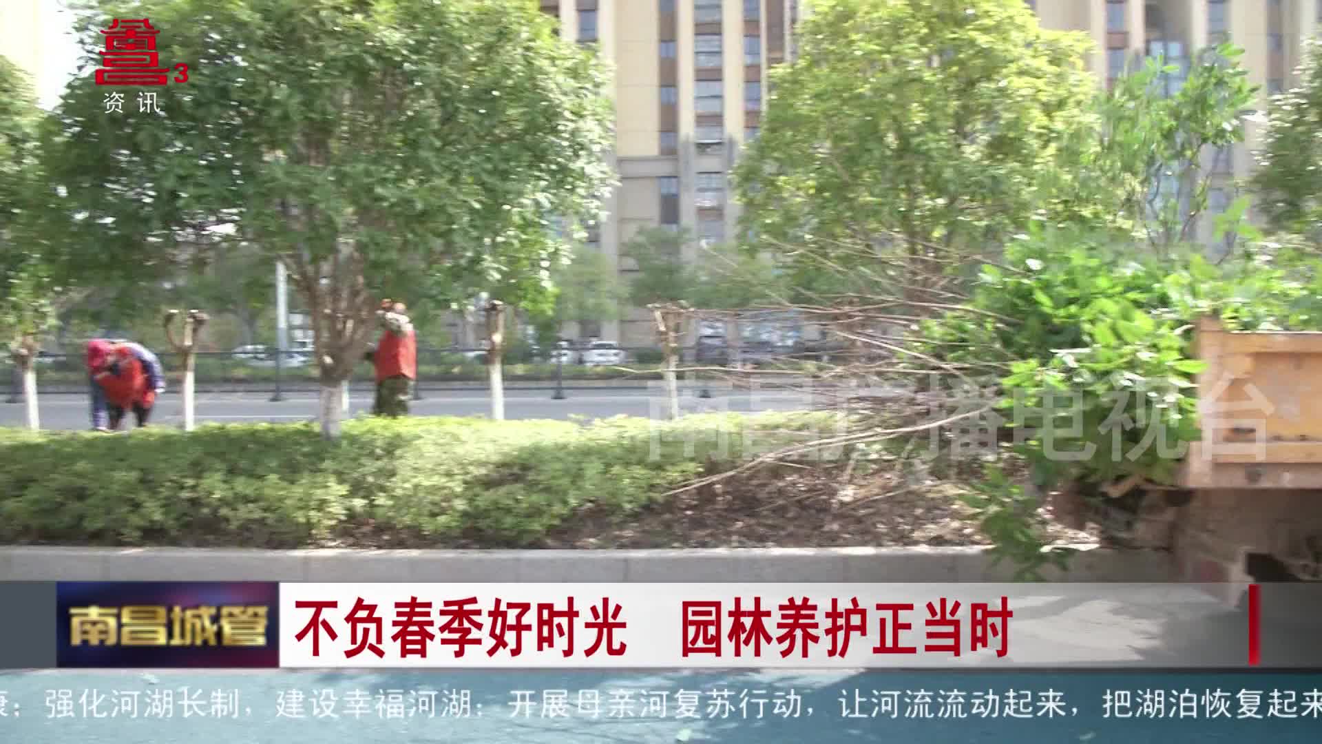 不负春季好时光 园林养护正当时