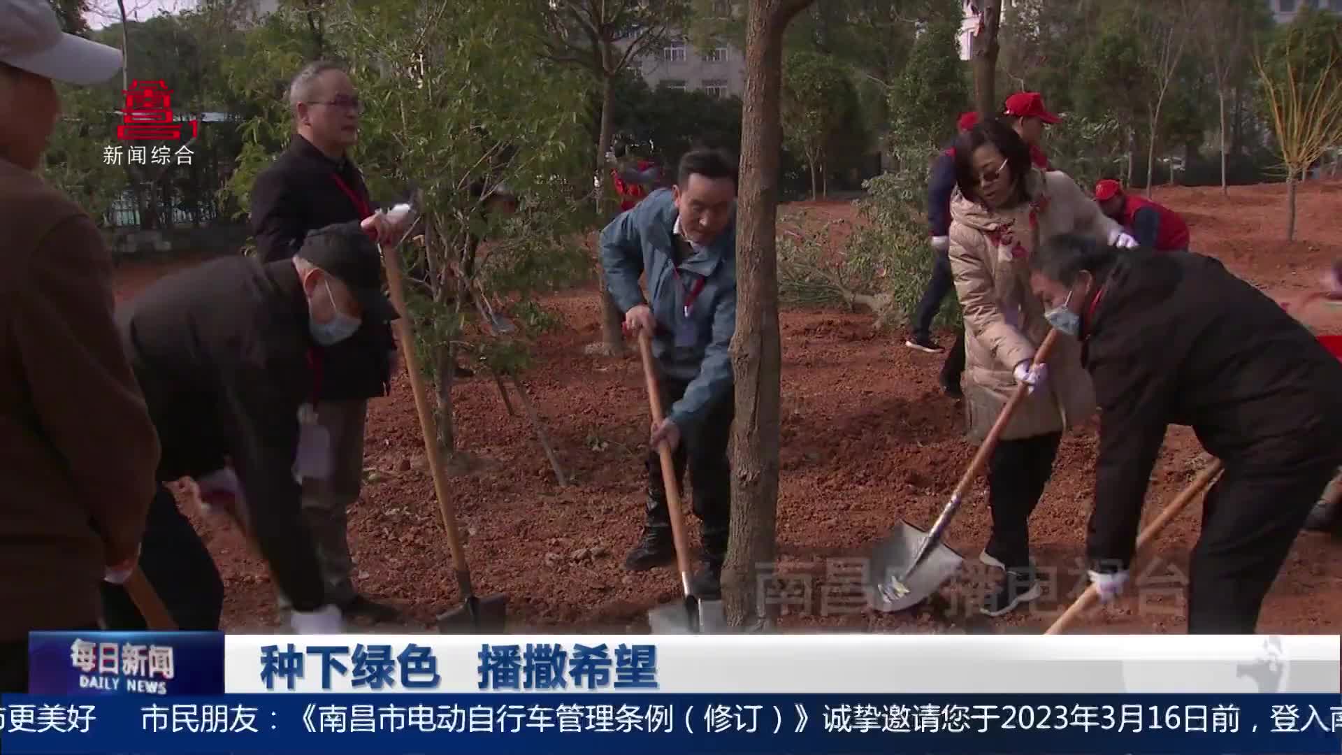种下绿色 播撒希望