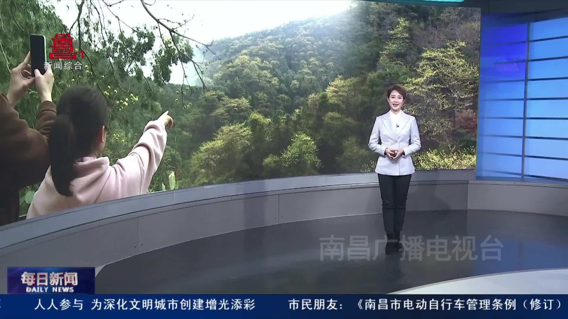 本周
