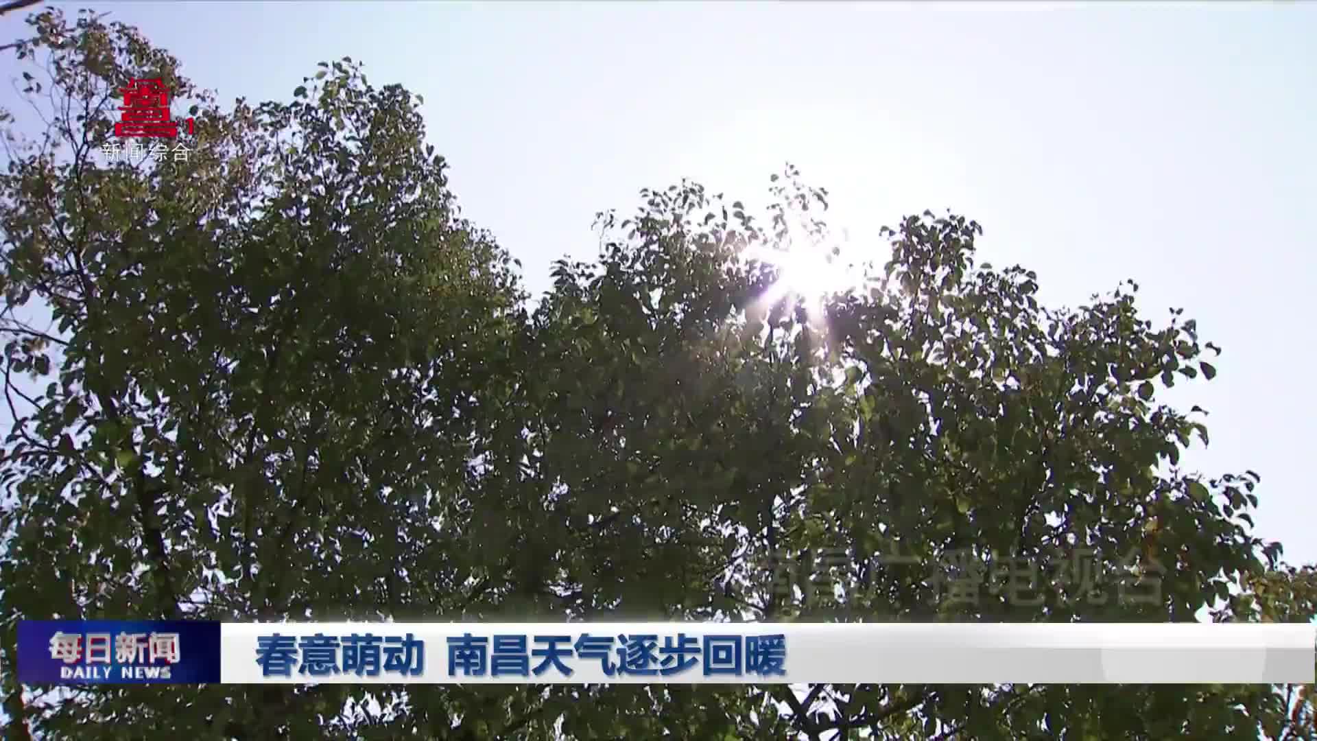 春意萌动 南昌天气逐步回暖
