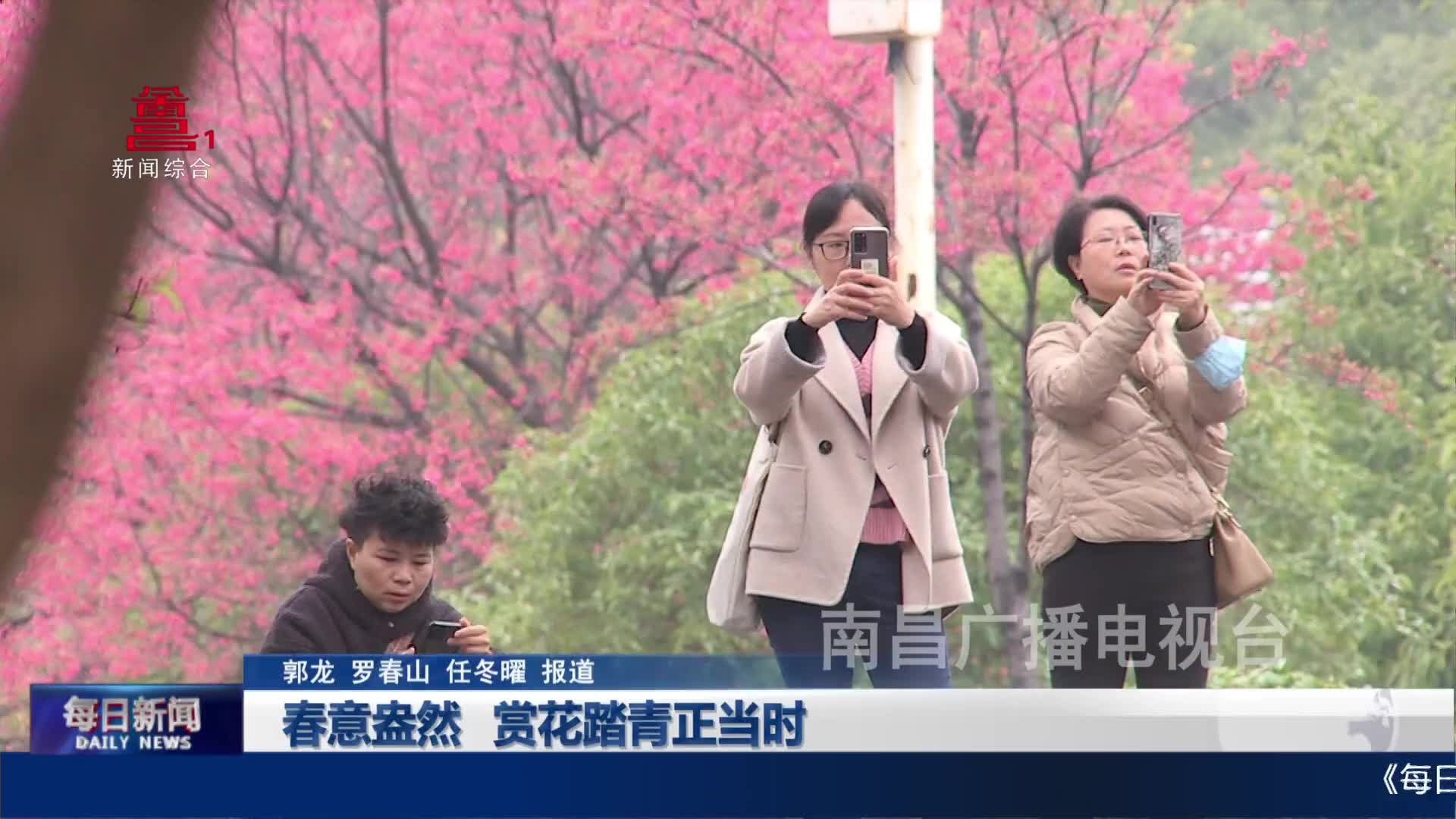 春意盎然 赏花踏青正当时