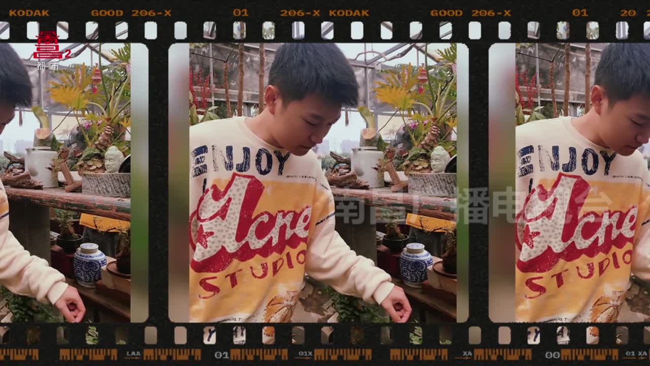 闯入绿野仙踪 提前感受春意