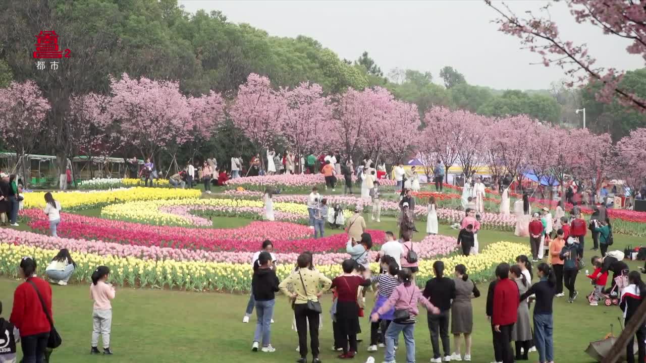 2023黄马凤凰沟第十六届南昌樱花节开幕