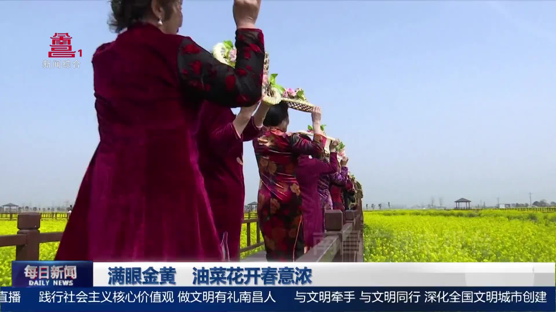 满眼金黄 油菜花开春意浓 满眼金黄 油菜花开春意浓