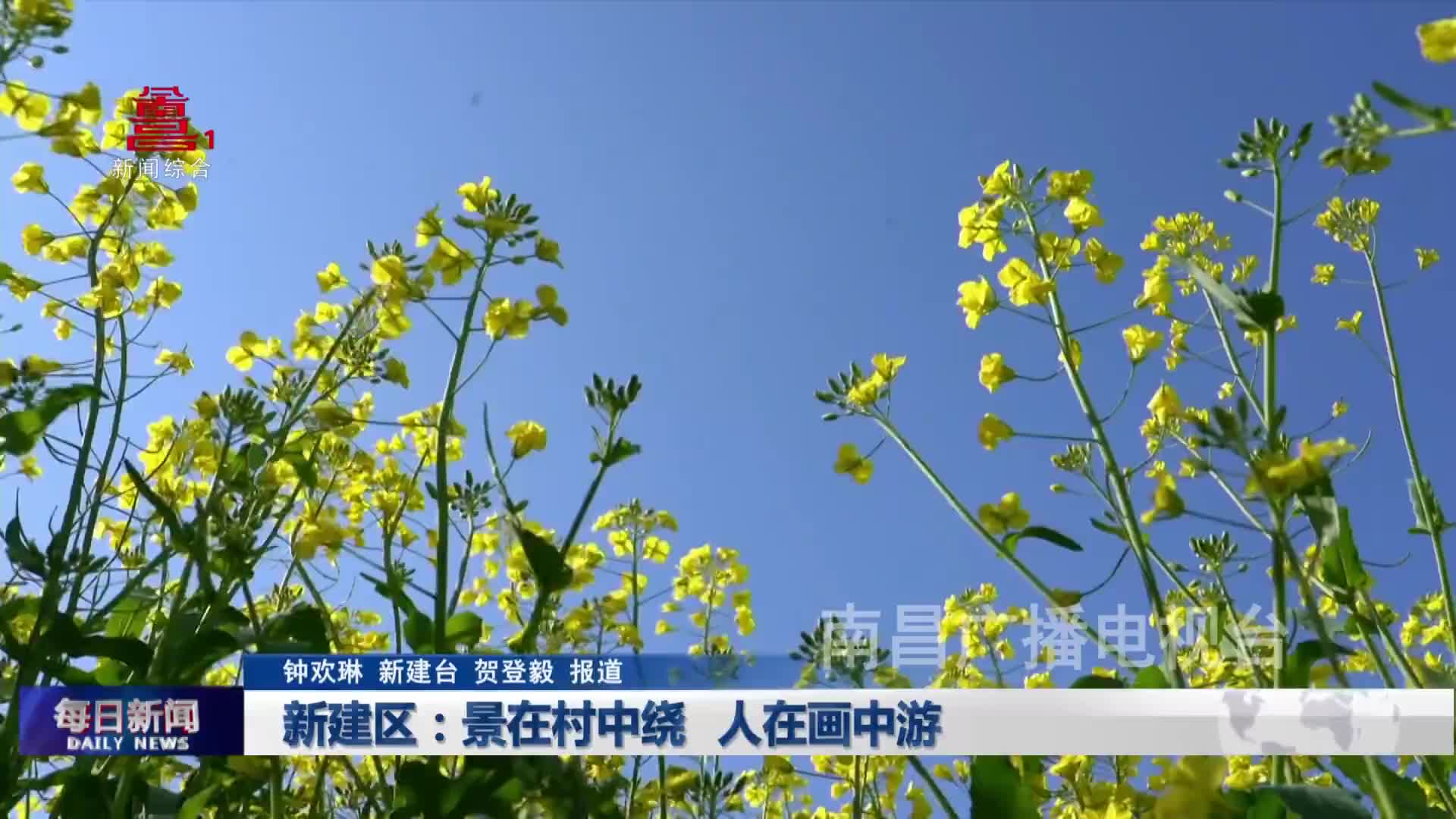 新建区：景在村中绕 人在画中游