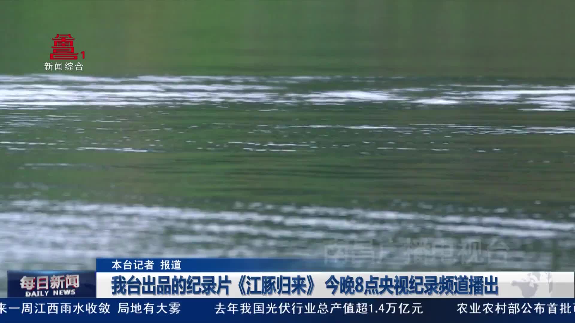 我台出品的纪录片《江豚归来》 今晚8点央视纪录频道播出