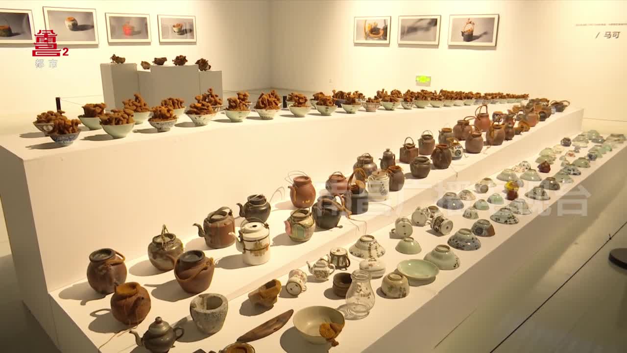 江西省美术馆举办首次装置艺术个展