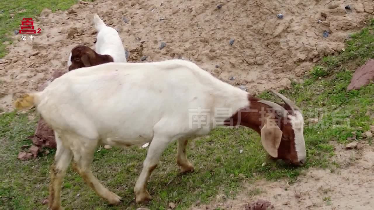 解锁南昌的异域风情