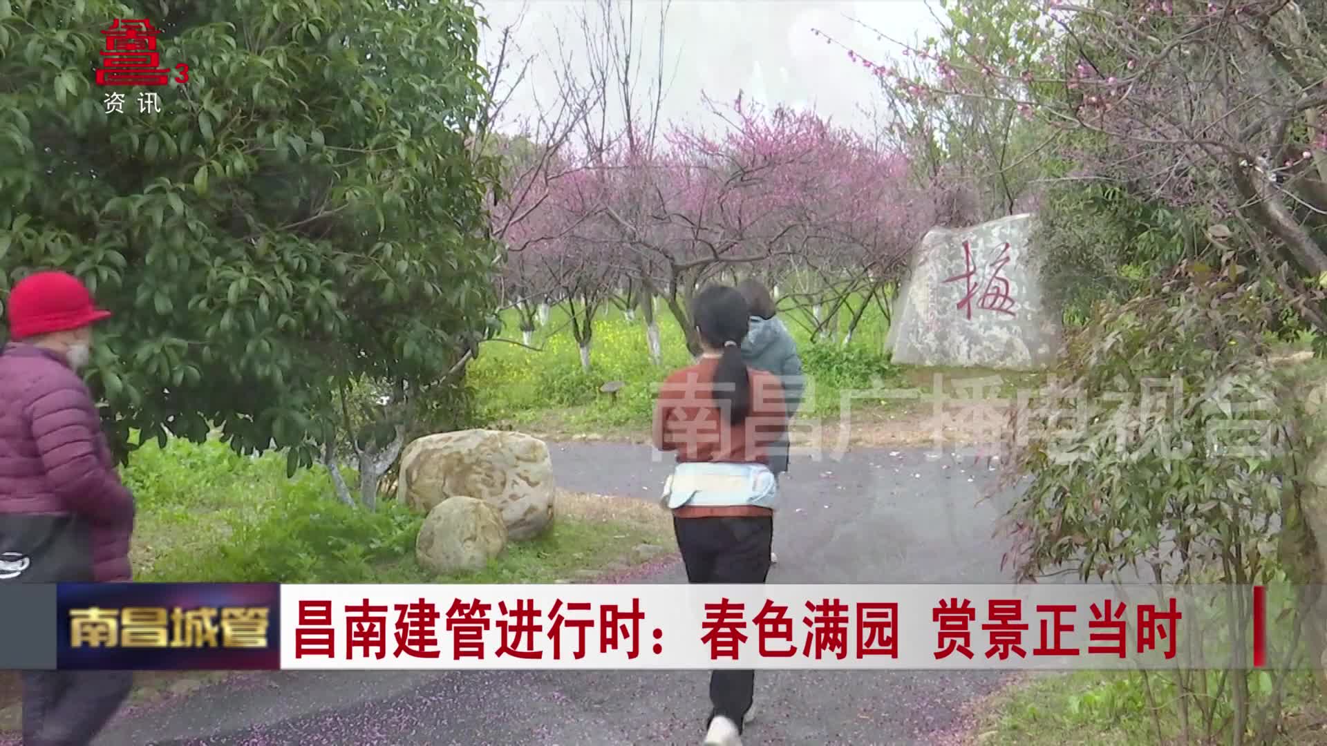 昌南建管进行时：春色满园 赏景正当时