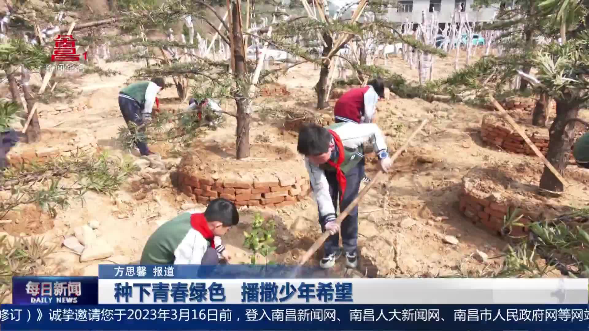 种下青春绿色 播撒少年希望