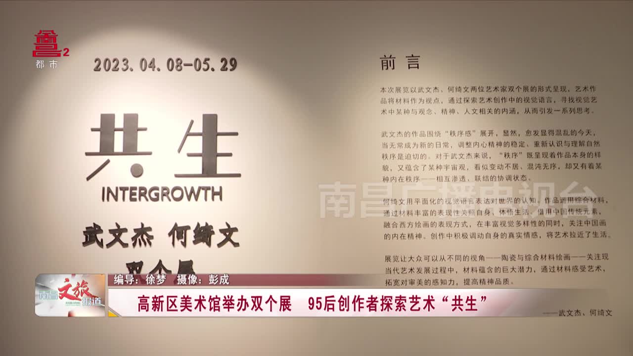 高新区美术馆举办双个展 95后创作者探索艺术“共生”