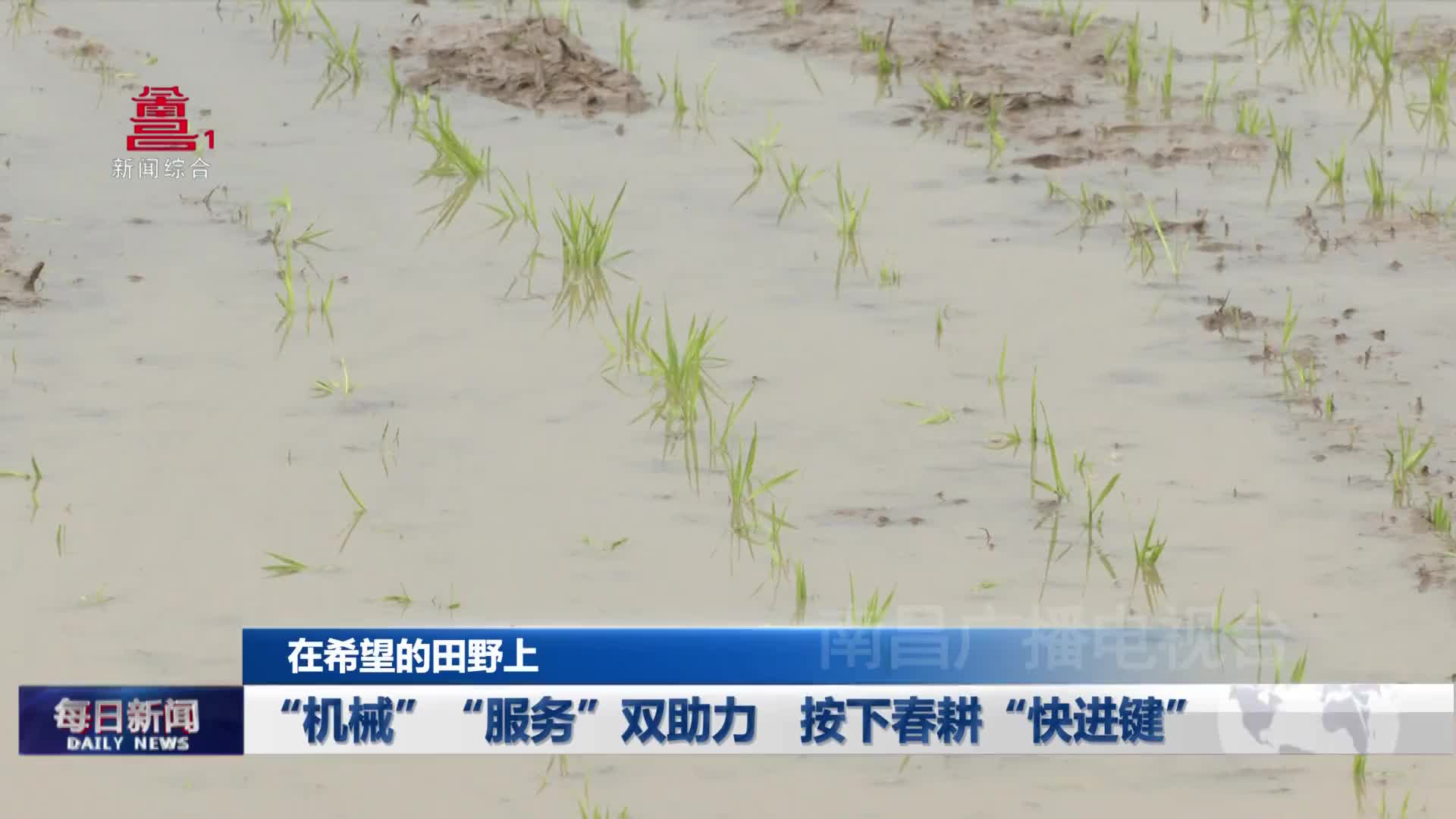“机械”“服务”双助力 按下春耕“快进键”