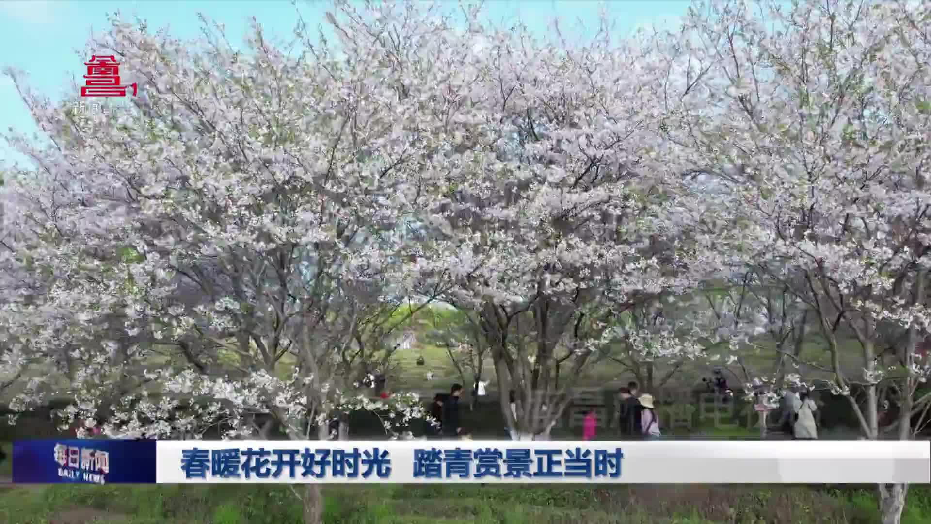 春暖花开好时光 踏青赏景正当时