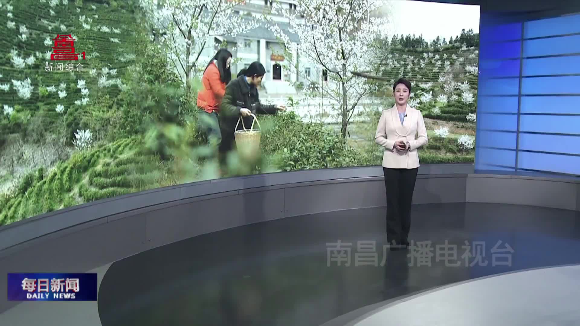 本周