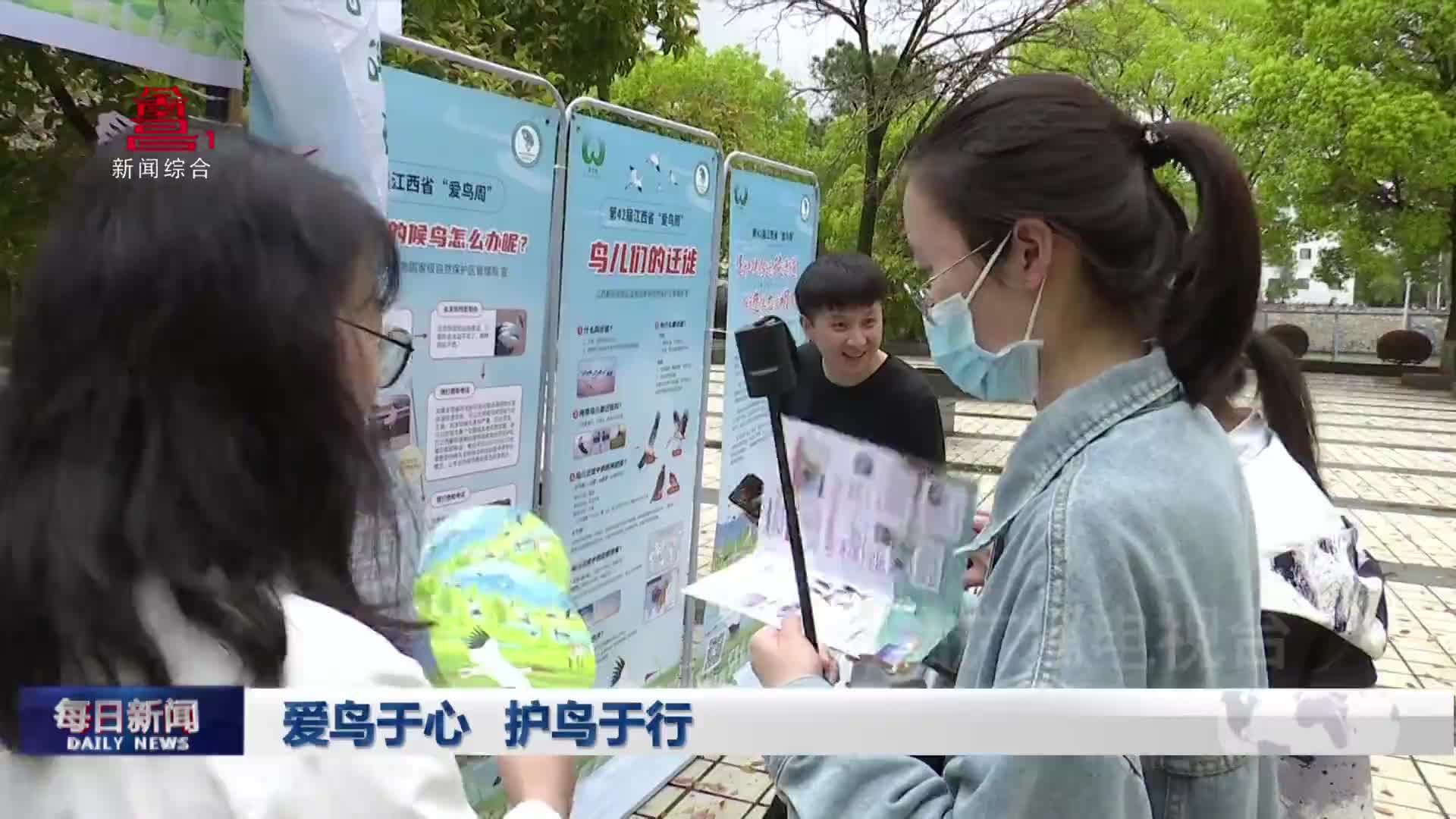 爱鸟于心 护鸟于行