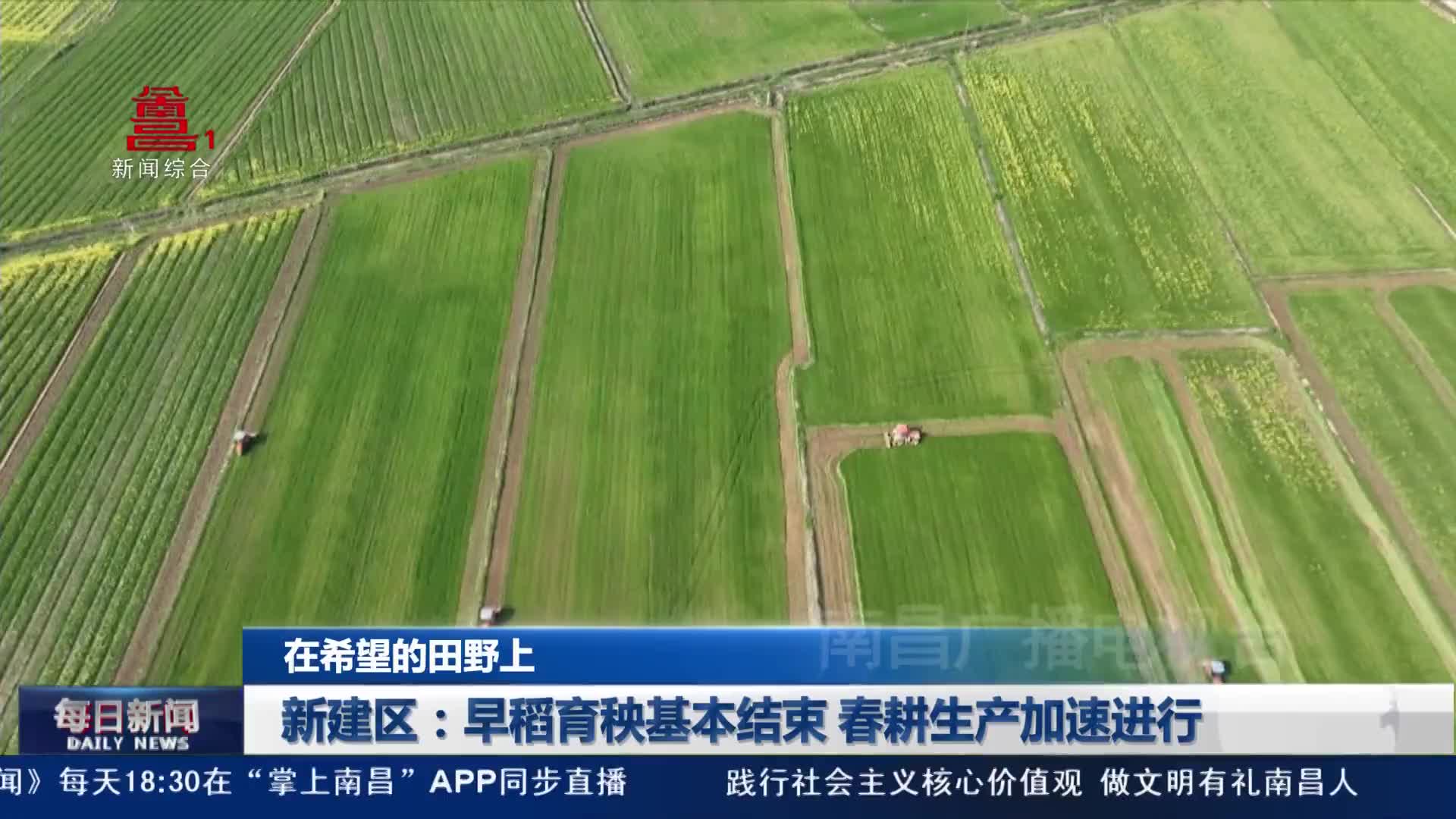 新建区：早稻育秧基本结束 春耕生产加速进行