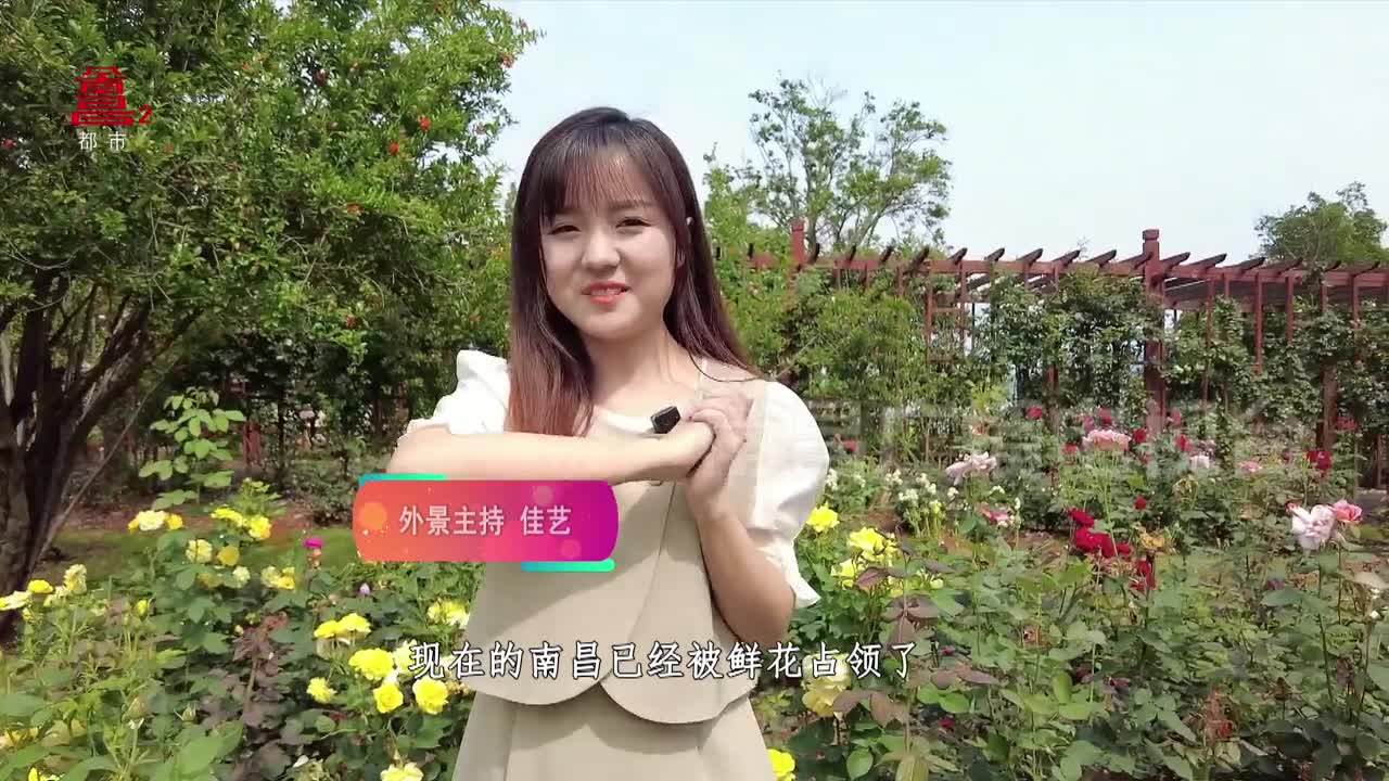 惊艳夏日系列：南昌的“莫奈花园”