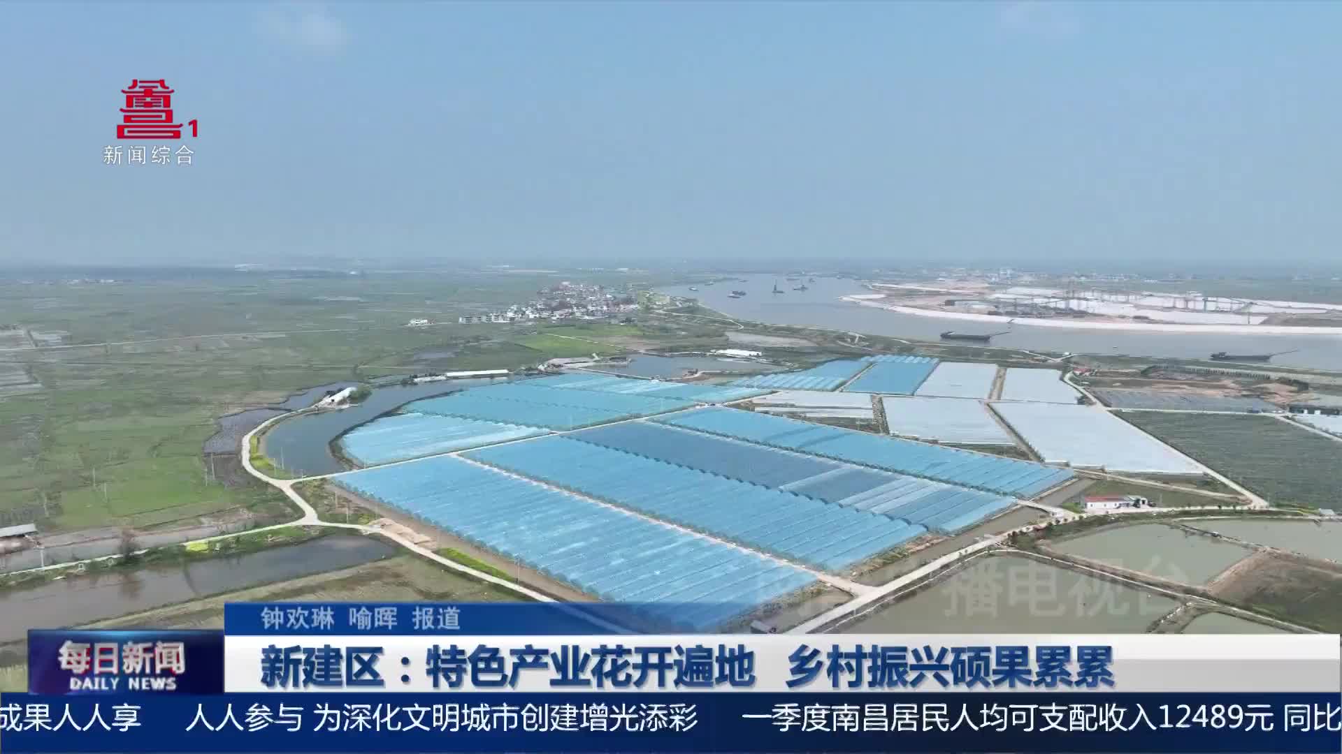 新建区：特色产业花开遍地 乡村振兴硕果累累