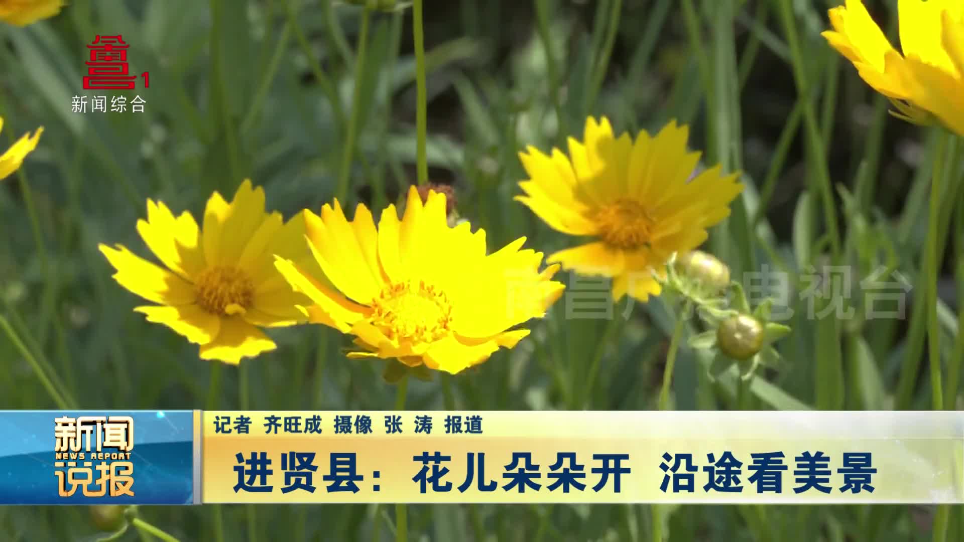 进贤县：花儿朵朵开 沿途看美景