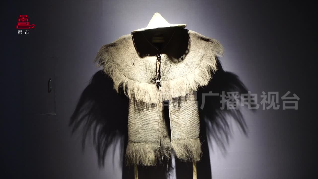 南昌宝藏——百鸟衣