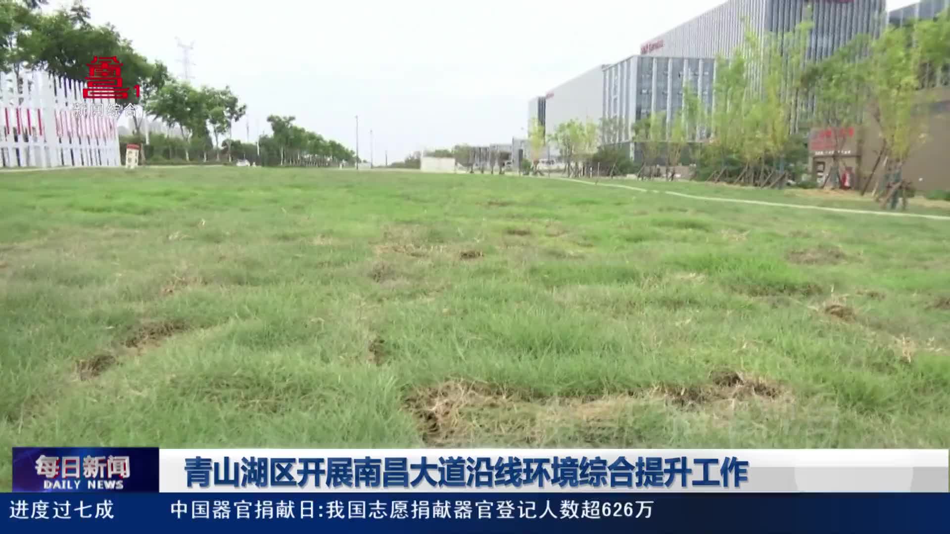 青山湖区开展南昌大道沿线环境综合提升工作