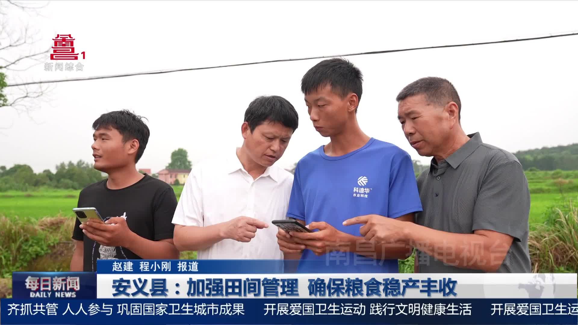 安义县：加强田间管理 确保粮食稳产丰收