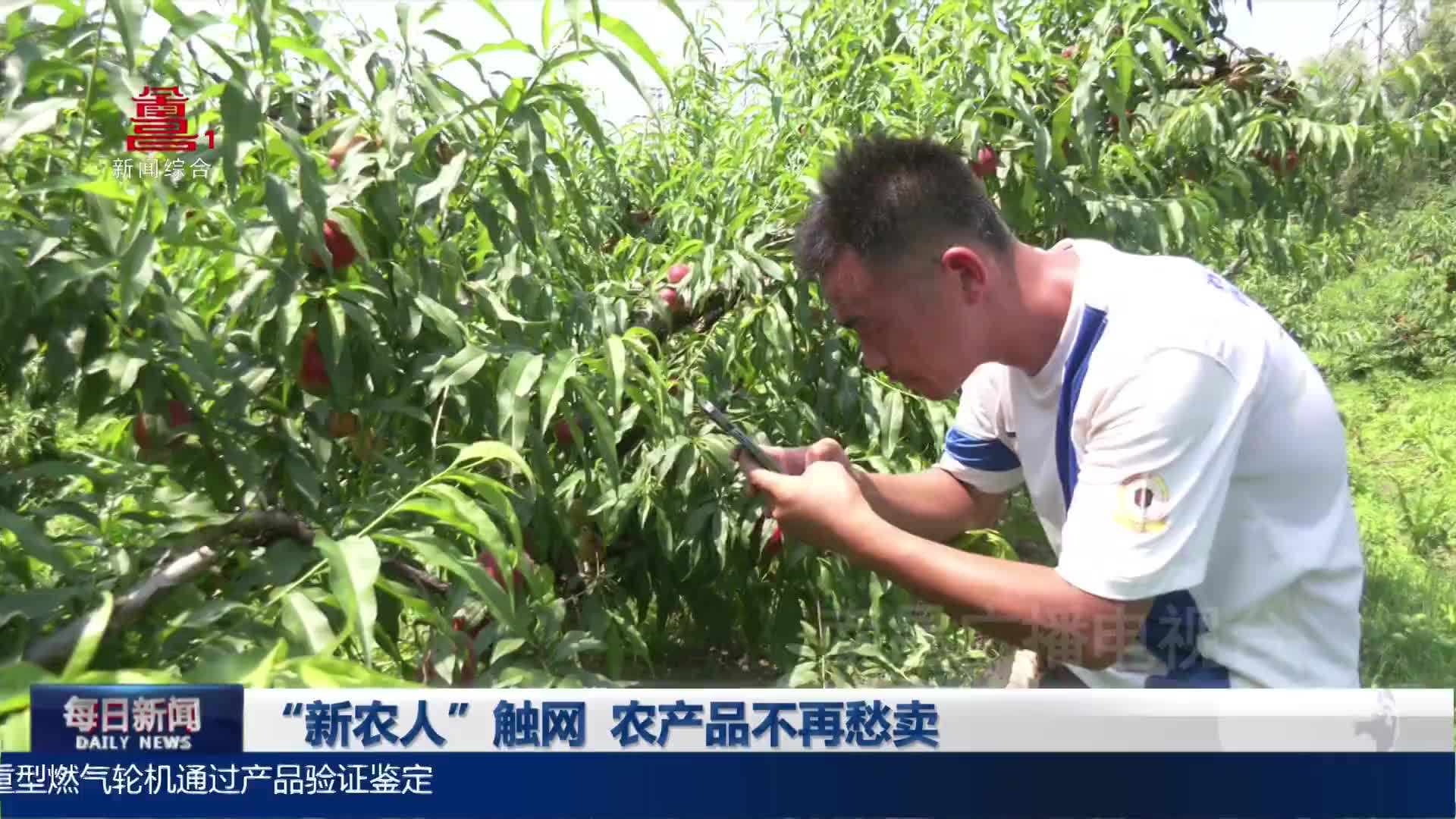 “新农人”触网 农产品不再愁卖