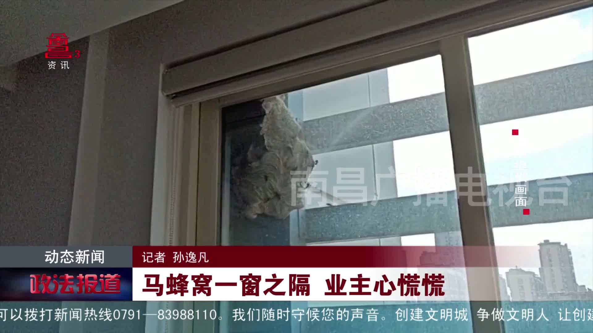 马蜂窝一窗之隔 业主心慌慌