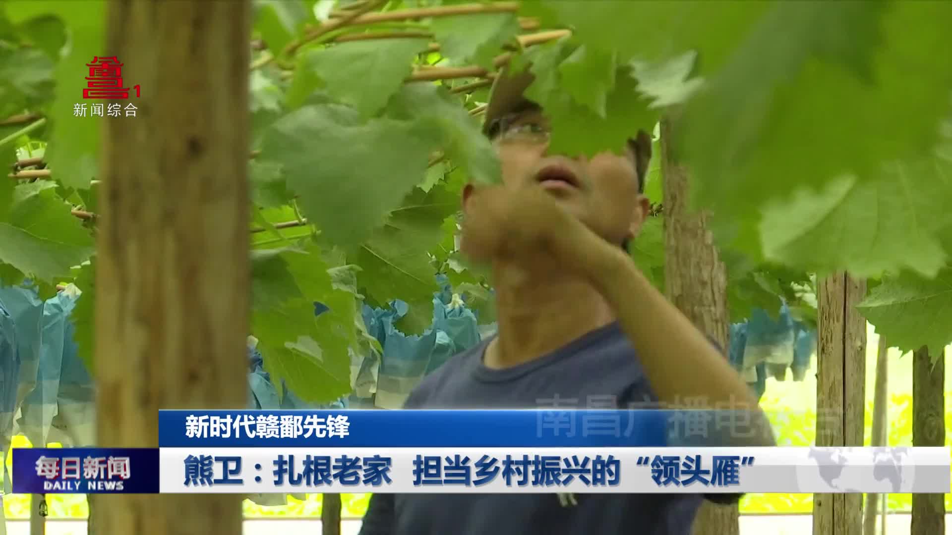 熊卫：扎根老家 担当乡村振兴的“领头雁”