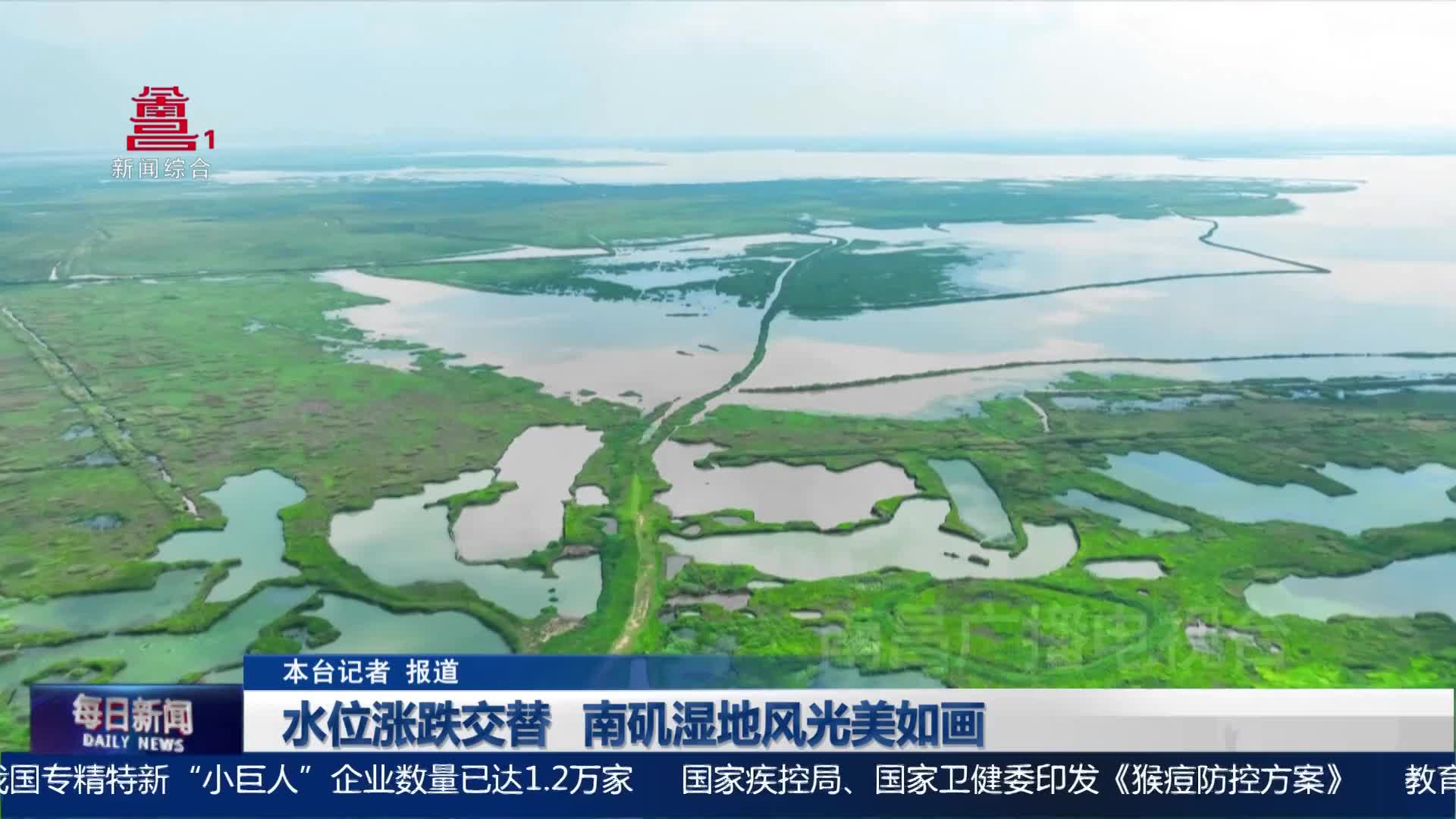 水位涨跌交替  南矶湿地风光美如画