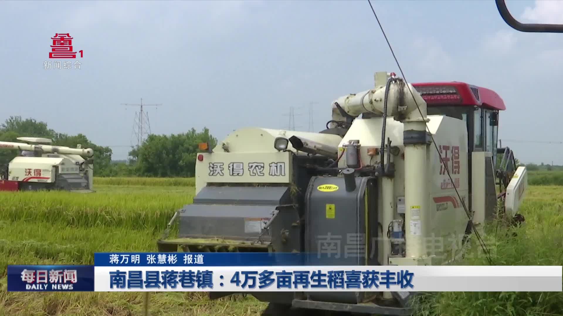 南昌县蒋巷镇：4万多亩再生稻喜获丰收