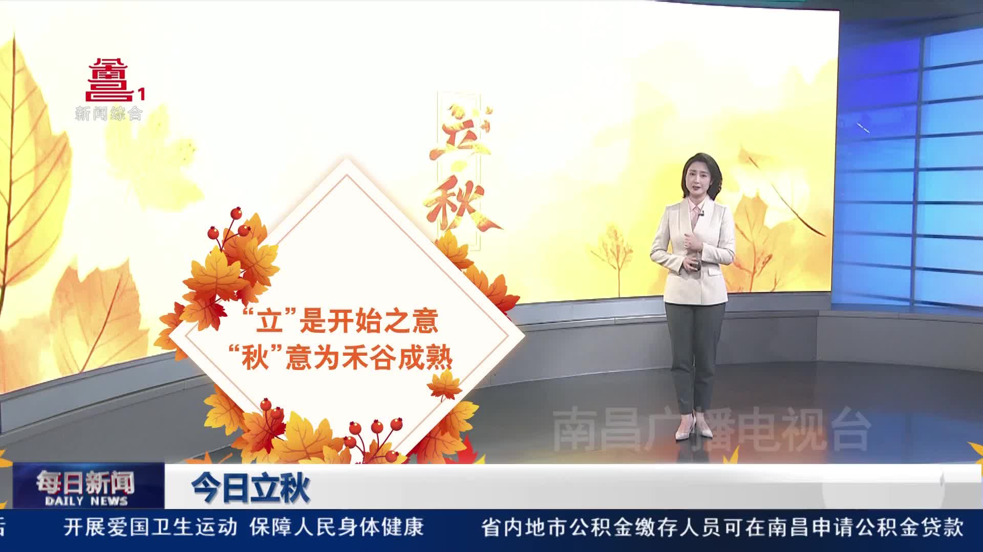 今日立秋