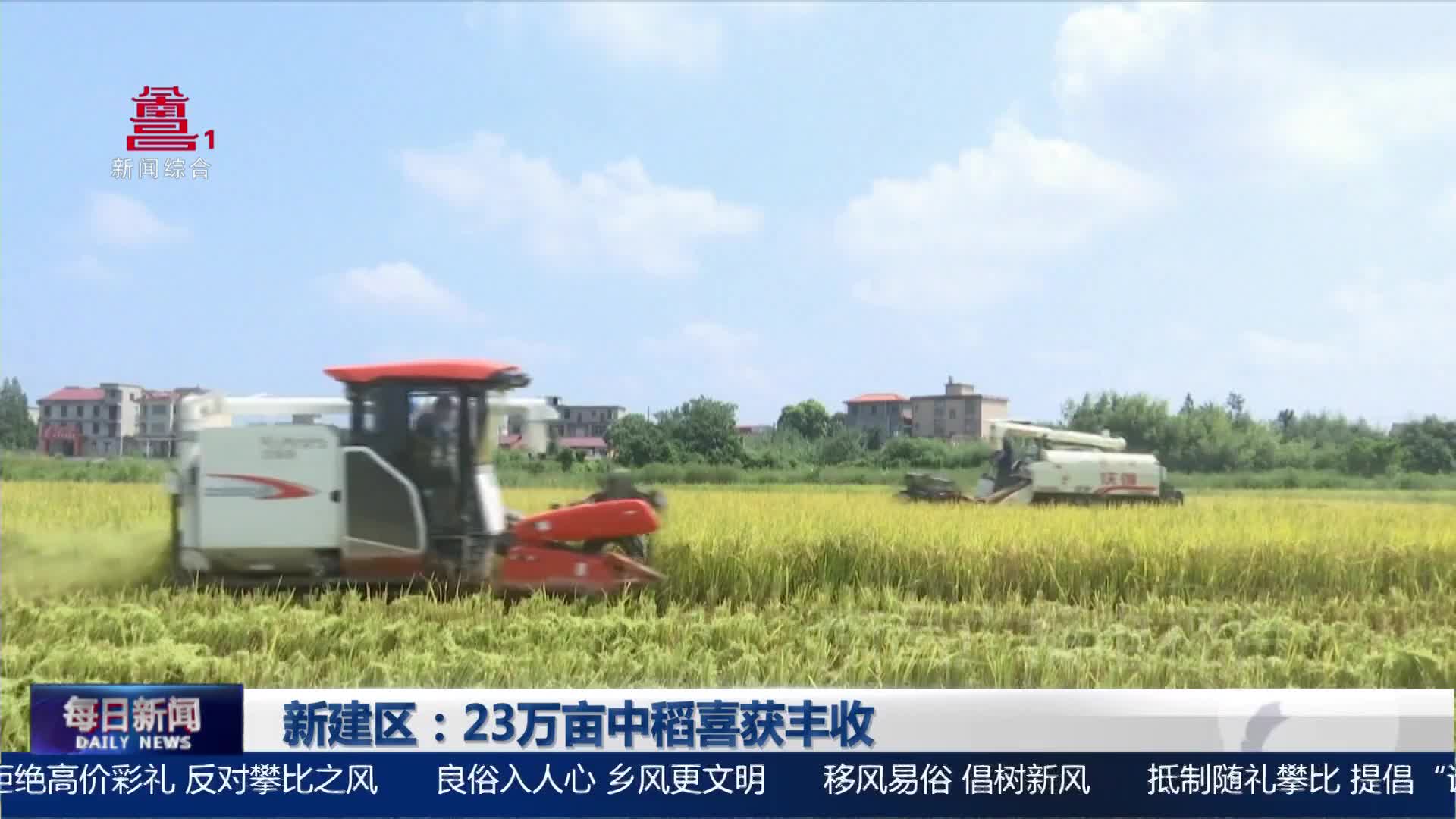 新建区：23万亩中稻喜获丰收
