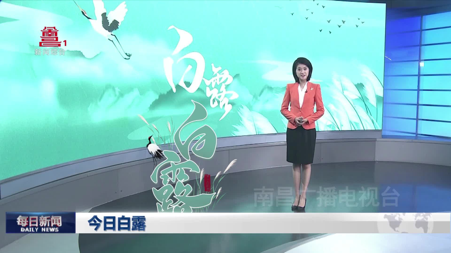 今日白露