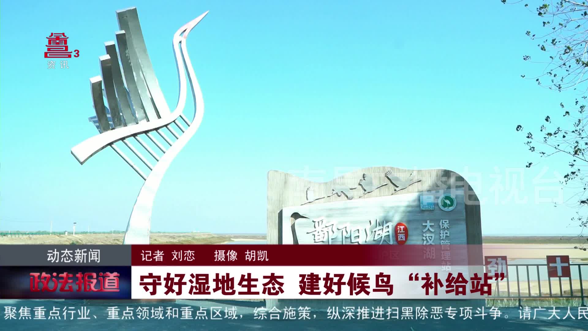 守好湿地生态 建好候鸟“补给站”