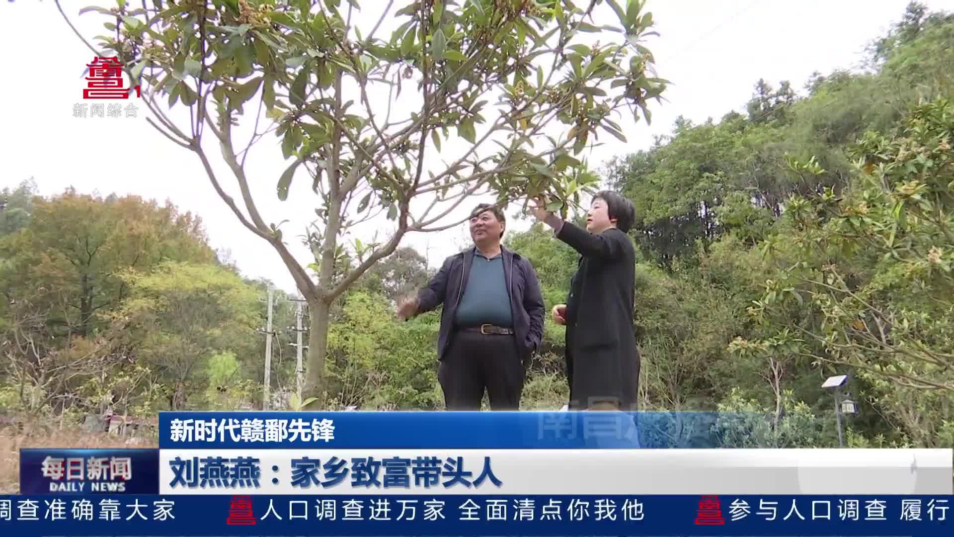 刘燕燕：家乡致富带头人