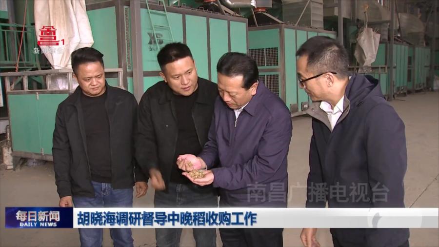 胡晓海调研督导中晚稻收购工作