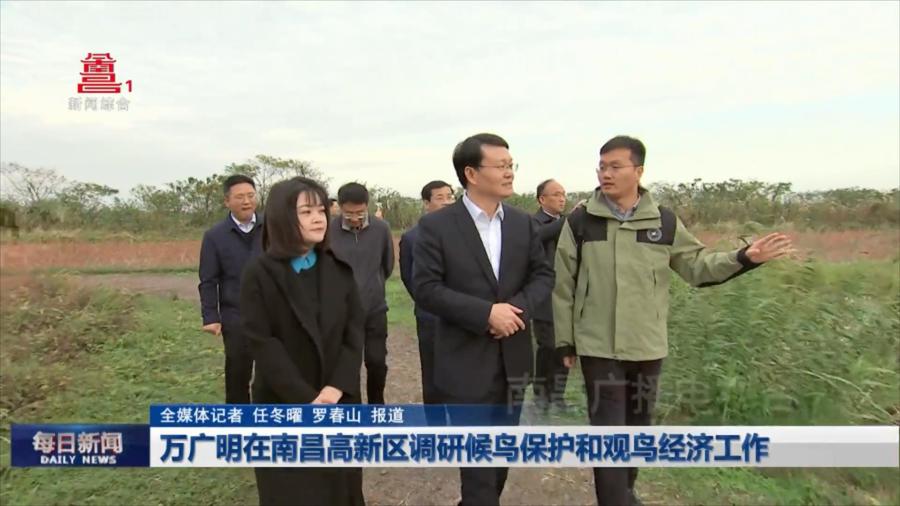 万广明在南昌高新区调研候鸟保护和观鸟经济工作