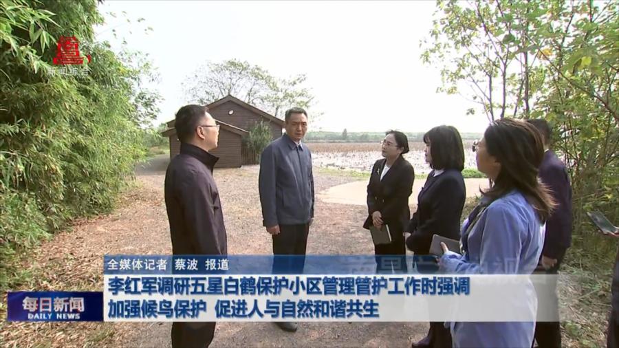 李红军调研五星白鹤保护小区管理管护工作时强调 加强候鸟保护 促进人与自然和谐共生