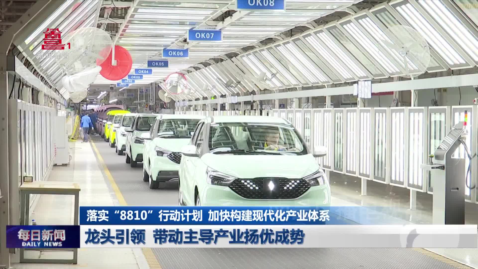 龙头引领 带动主导产业扬优成势
