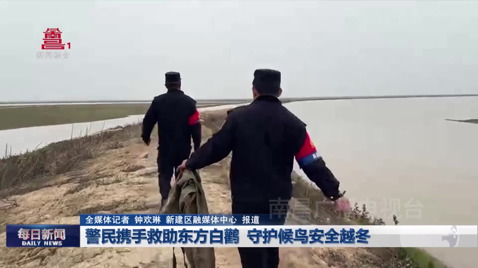 警民携手救助东方白鹳  守护候鸟安全越冬